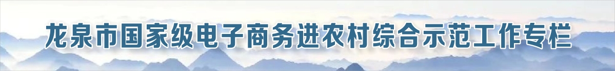 電子商務進農(nóng)村